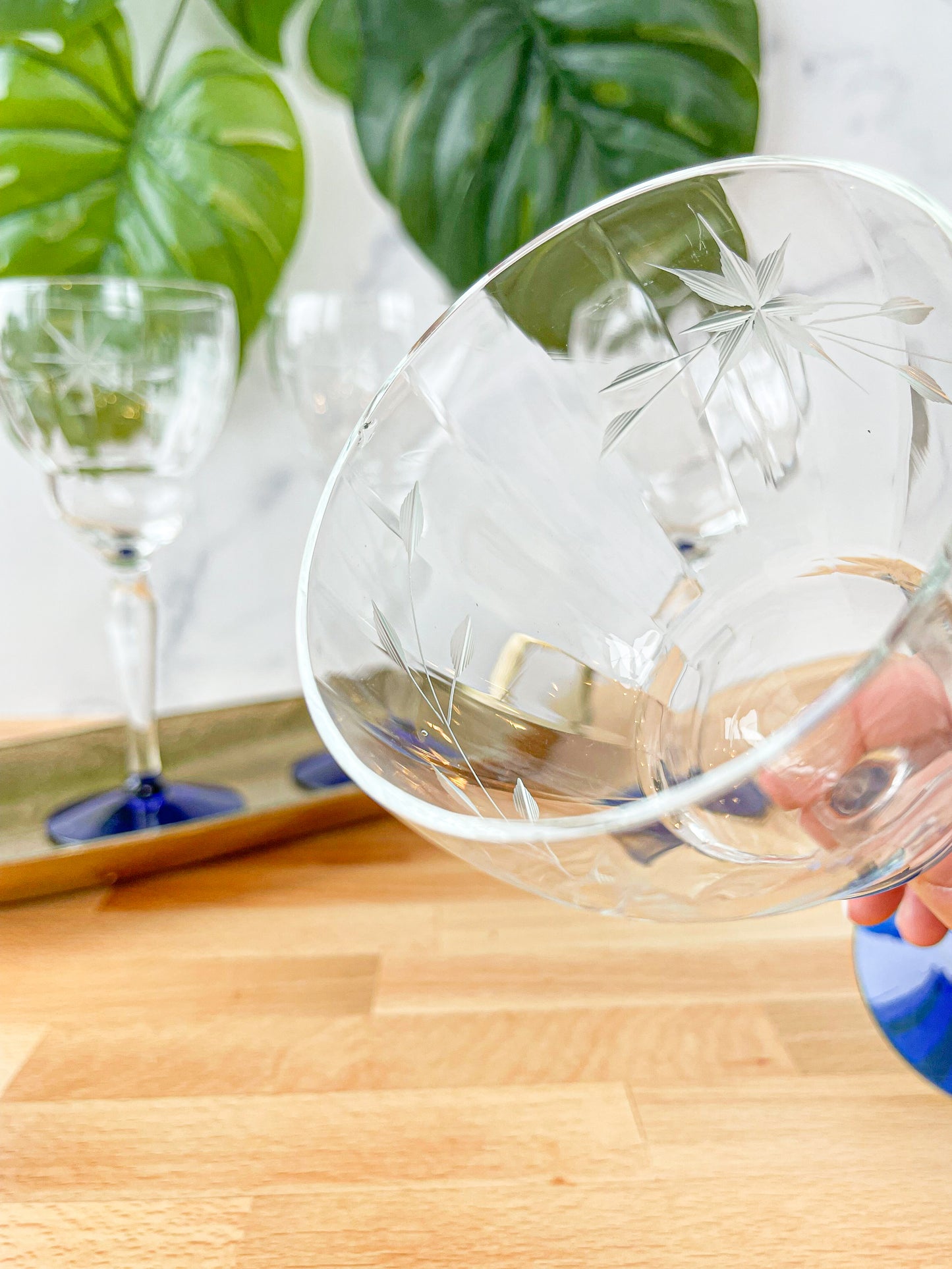 louie weston goblets & coupes