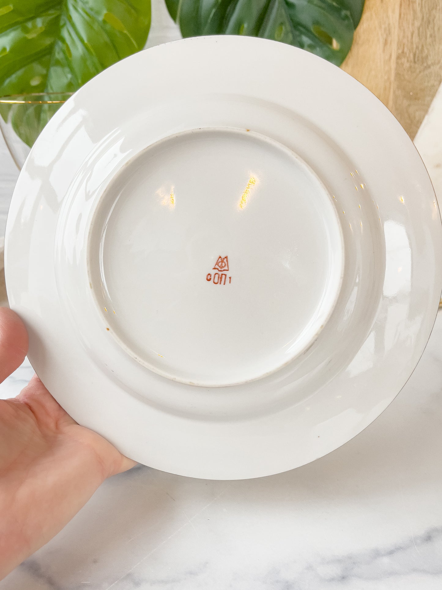 iridescent ivory & gold minsk china