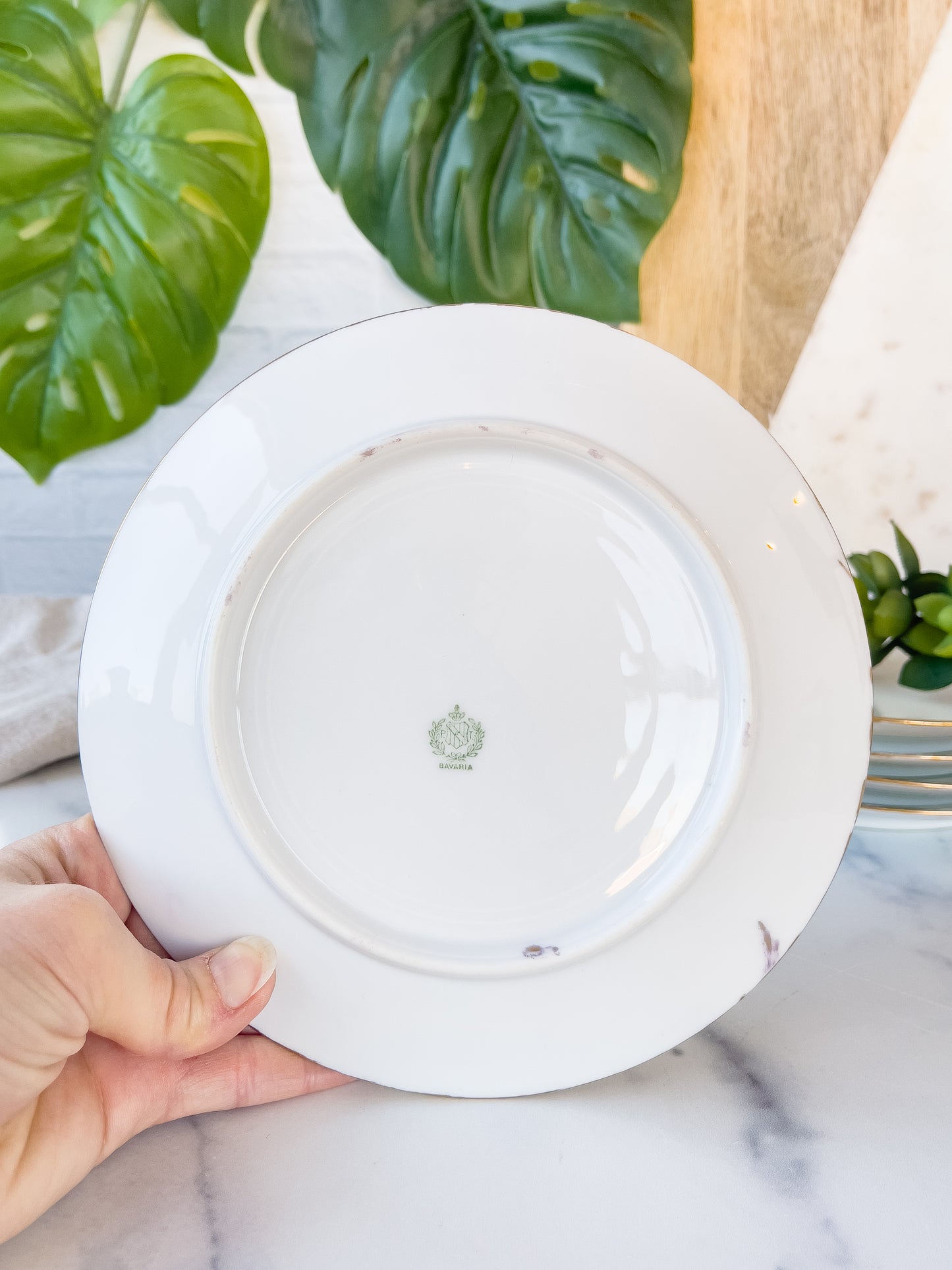 set/5 hand-painted bavarian dessert plates
