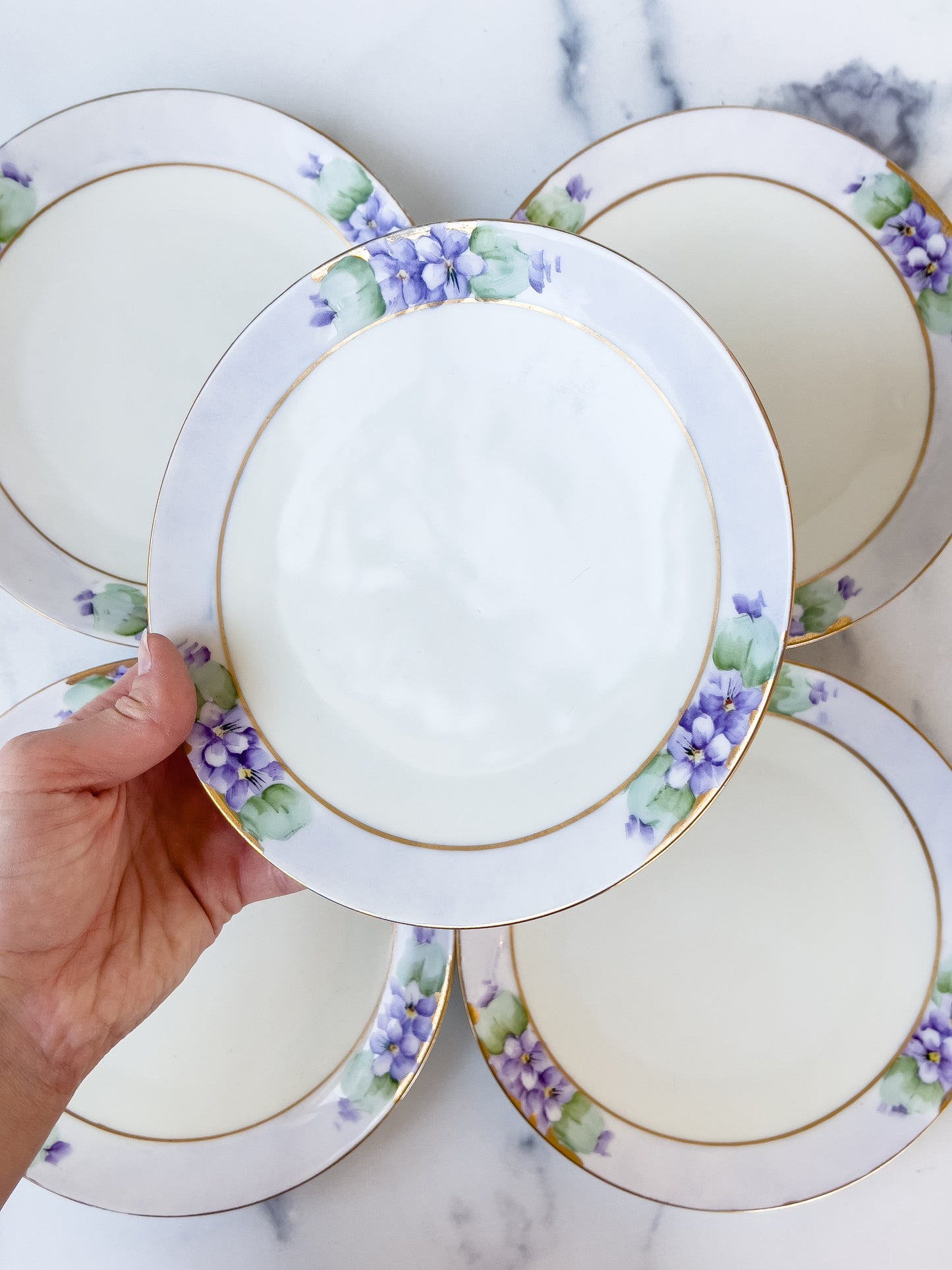 set/5 hand-painted bavarian dessert plates