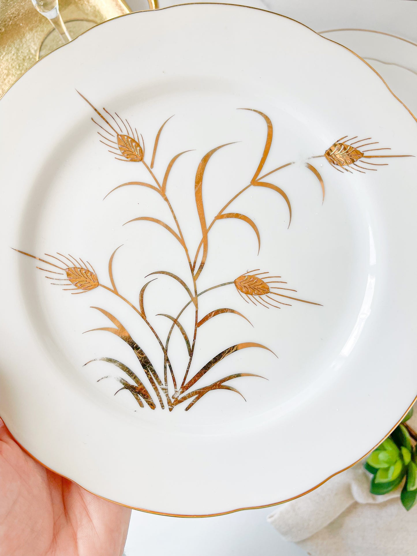 lefton gold "wheat" dinner / luncheon / salad plates